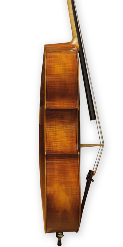 Violoncello Jan Kužel – 2011